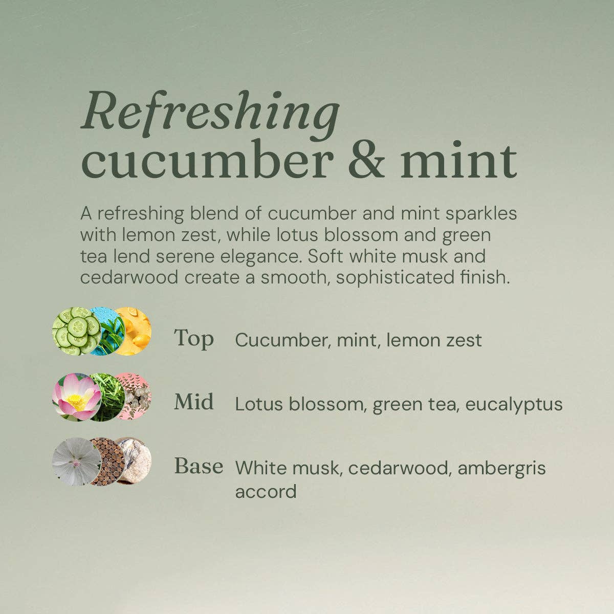 Anti-Bac Bathroom Cleaner - Cucumber + Mint 5L Refill