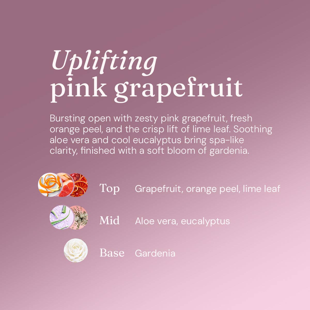 Anti-Bac Surface Cleaner - Pink Grapefruit 5L Refill