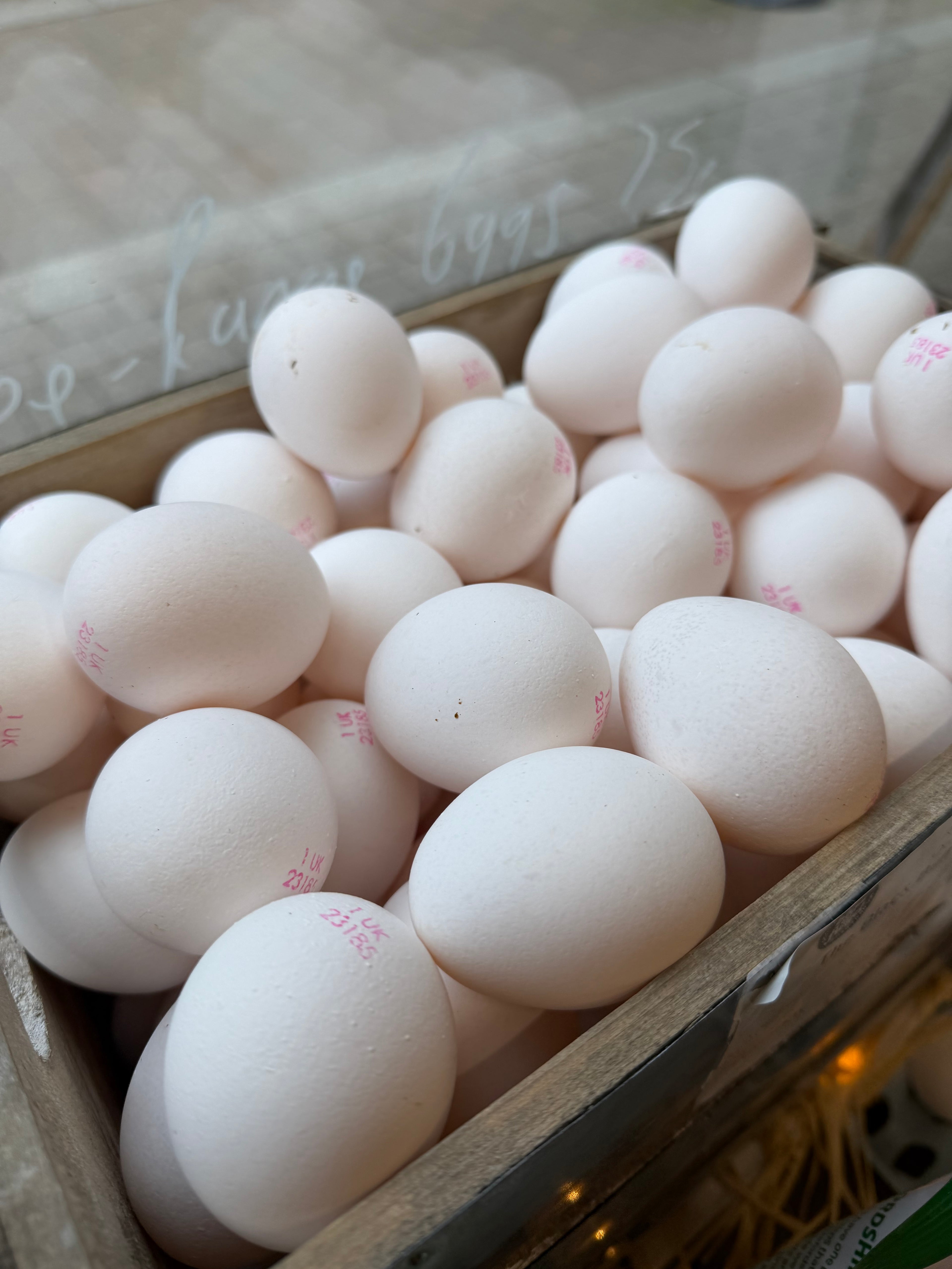 Large White Eggs individual