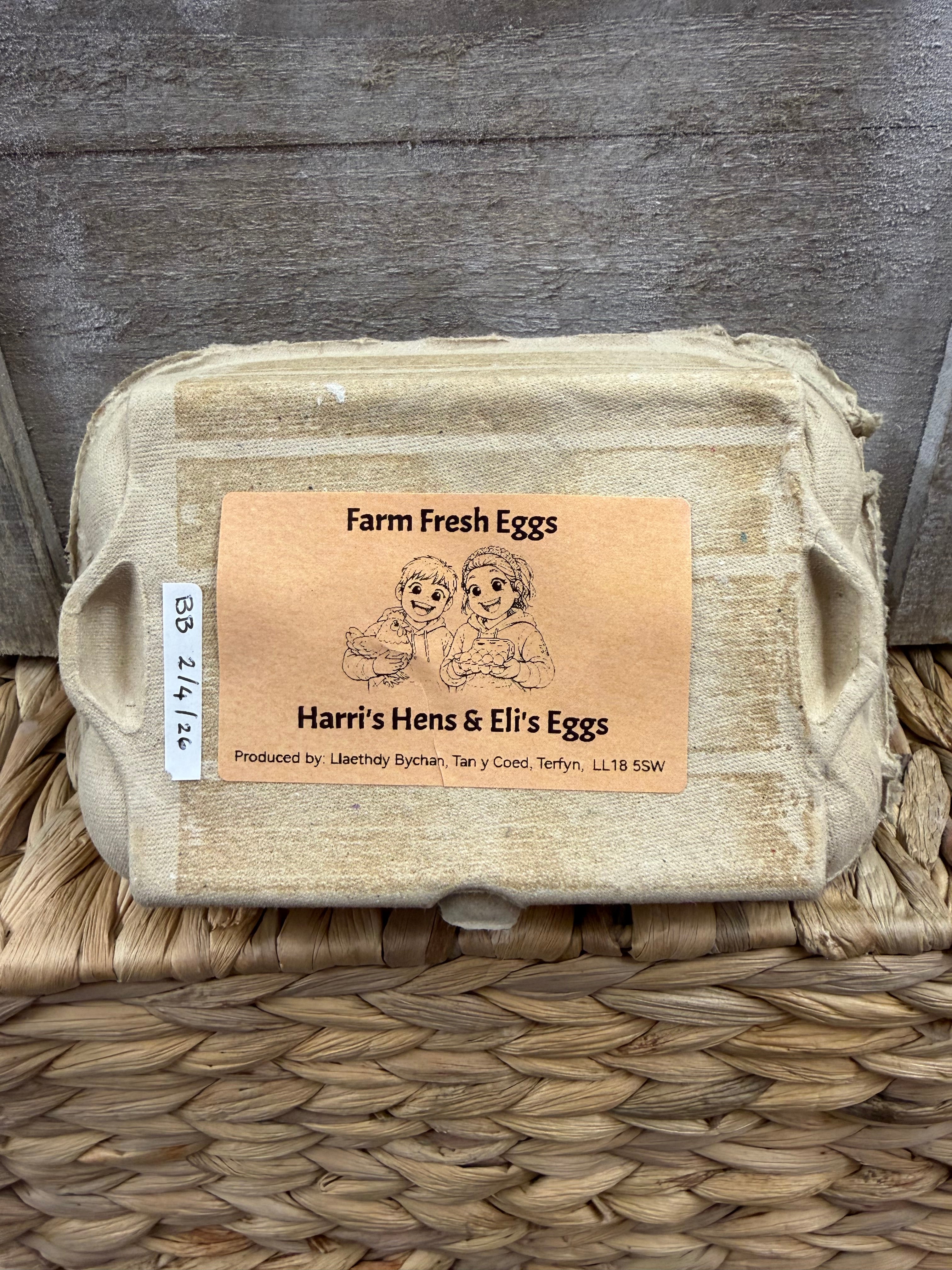 Llaethdy Bychan Eggs x 6